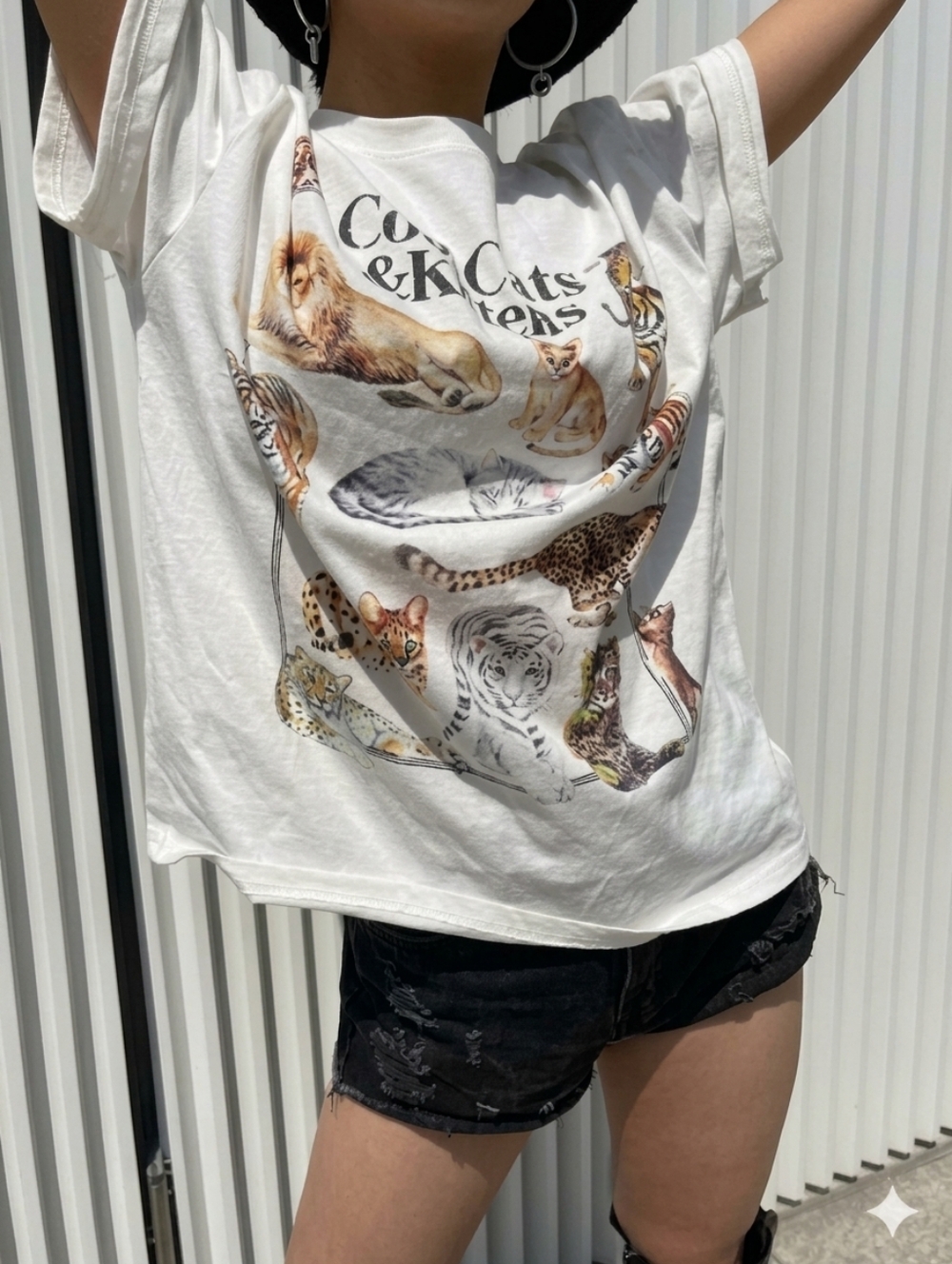 😎Cool Cats & Kittens Short Sleeve Oversized Tee - Picture 2 of 6